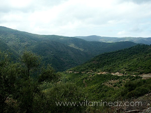 Skikda ; Cap Bougaroun, photo prise le 19 Septembre 2005