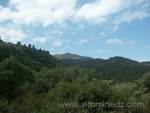 Skikda ; Cap Bougaroun, photo prise le 19 Septembre 2005