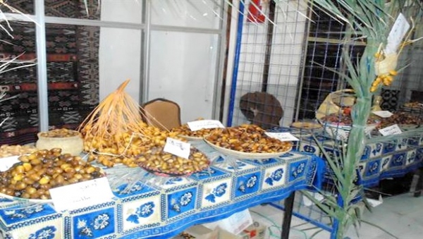 Promotion de la filière de la datte: coup d’envoi de la première fête de la datte d’Adrar