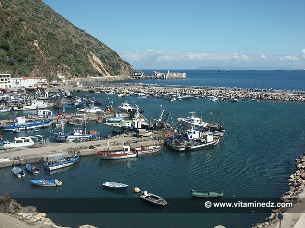 Skikda  Port de Stora et Phare Molot (Ilot des singes)