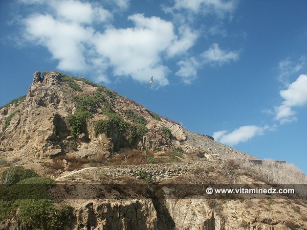 Skikda, île de Srigina en septembre 2005