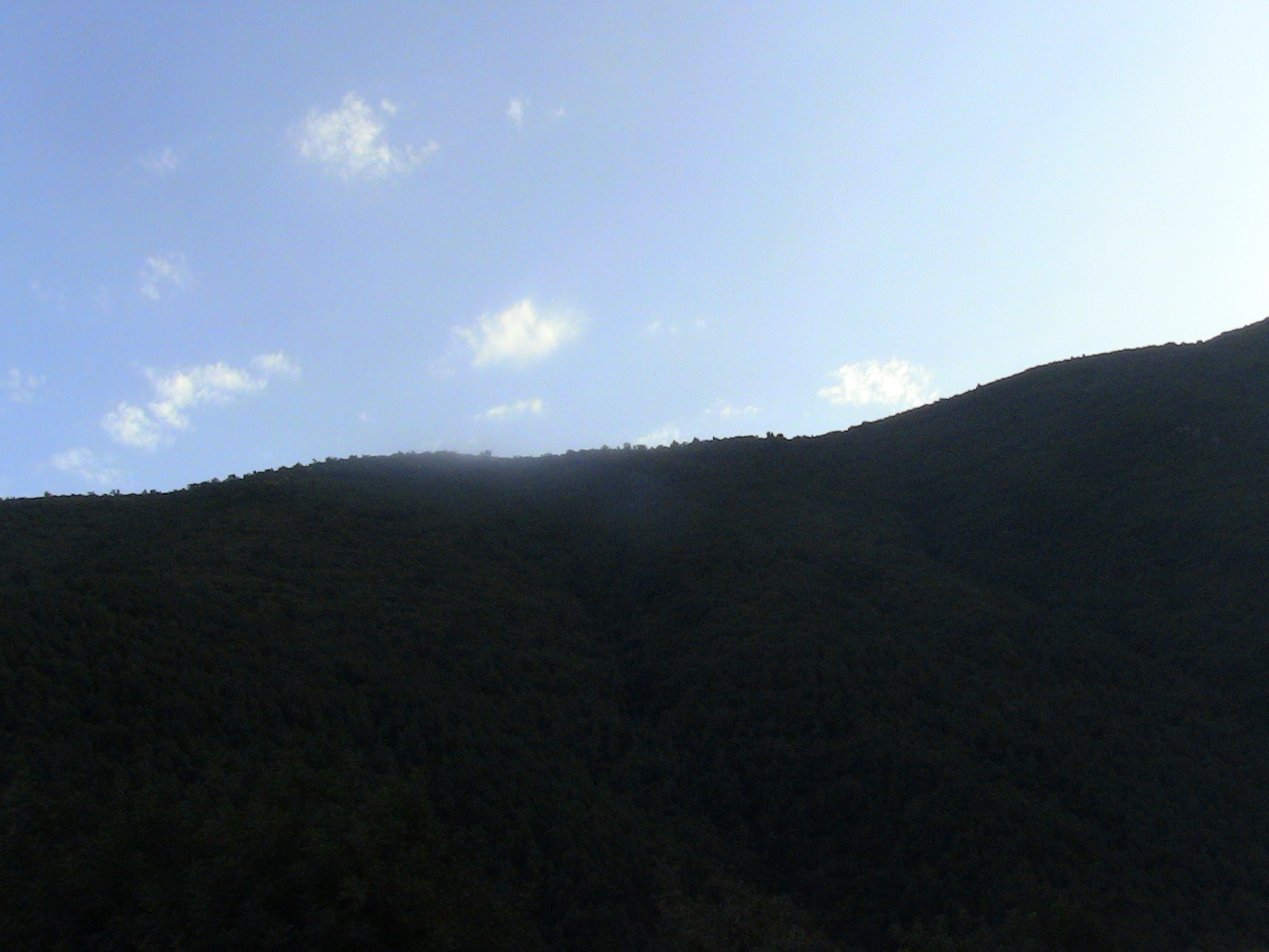 Le parc national de Chréa