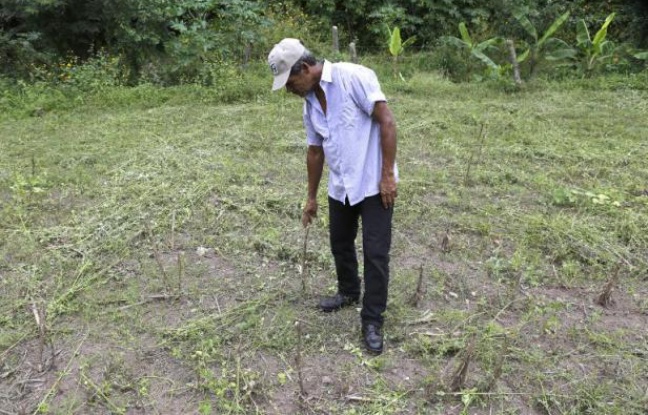 Planète - D'ouragans en sécheresses, le climat chahuté de l'Amérique latine