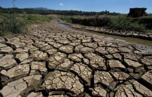 Planète - La sécheresse de Sao Paulo sonne l'alarme pour la planète