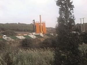 En violation de la loi 84-12 portant régime général des forêts:  Une station d’enrobage de goudron en pleine forêt à Tipasa