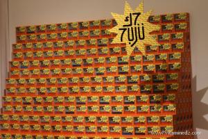 Expo Chitta de Walid Bouchouchi, FIAC 2014, Festival International d\'Art Contemporain d\'Alger au MAMA