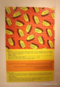 Expo Shita de Walid Bouchouchi, FIAC 2014, Festival International d\'Art Contemporain d\'Alger au MAMA