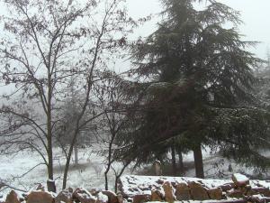 Premières chutes de neige sur le Col de Benchicao (Hier le 07.12.14