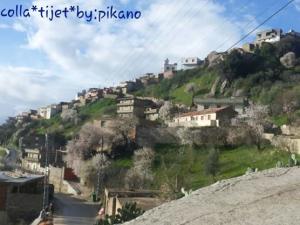 اروع الصور لبلدية القلة