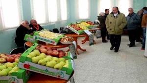 La pomme en fête dans la commune d’Oued Taga (Batna)