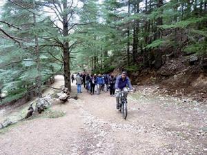 Haizer (Bouira) - Lancement de la saison hivernale à Tikjda: Un démarrage prometteur