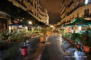Photo Alger, La nuit, les fleuristes de la grande poste