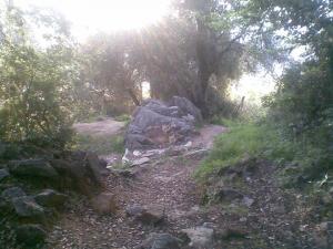 A3essass N Thala - Le protecteur de la source