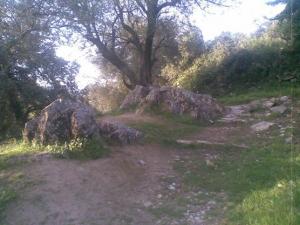 A3essass N Thala 2 - Le protecteur de la source