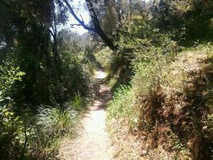 Sentier de randonnée