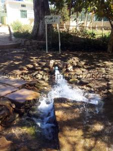 Gachis à la source de Ain Fezza, destruction par la mairie des ressources naturelles