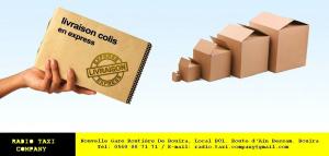 TRANSPORT DE COLIS URGENTS