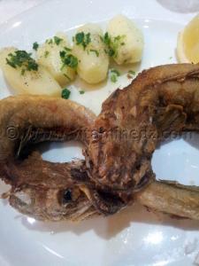 Restaurant Alger, Hôtel Albert 1er, Avenue Pasteur.