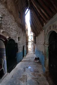Rues etroites Casbah d\'Alger, Patrimoine immobilier en voie de dispartition