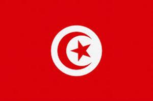 Maghreb - Bouazizi a semé, la récolte tunisienne sera-t-elle bonne?  Chronique d’une “révolution”!