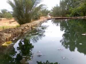 agriculture de sebseb