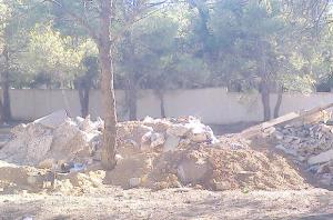 Seul lieu de détente et espace vert de la ville:  Une forêt urbaine en péril à Oum El-Bouaghi