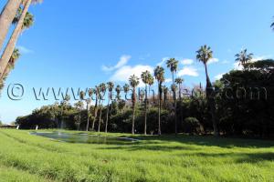 La Pépinière Centrale du Gouvernement, Le Jardin d\'Essai d\'Alger