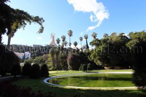 Le Jardin d\'Essai d\'Alger