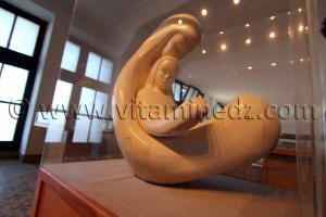 Les collections du Musée des Beaux Arts d\'Alger