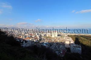 Vue des hauteurs d\'à Alger