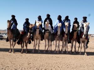 FIATAA 2014 : Cérémonie d'ouverture - Parade de dromadaire (campement de Tidessi)