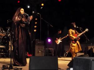 FIATAA 2014: Toumast du Niger