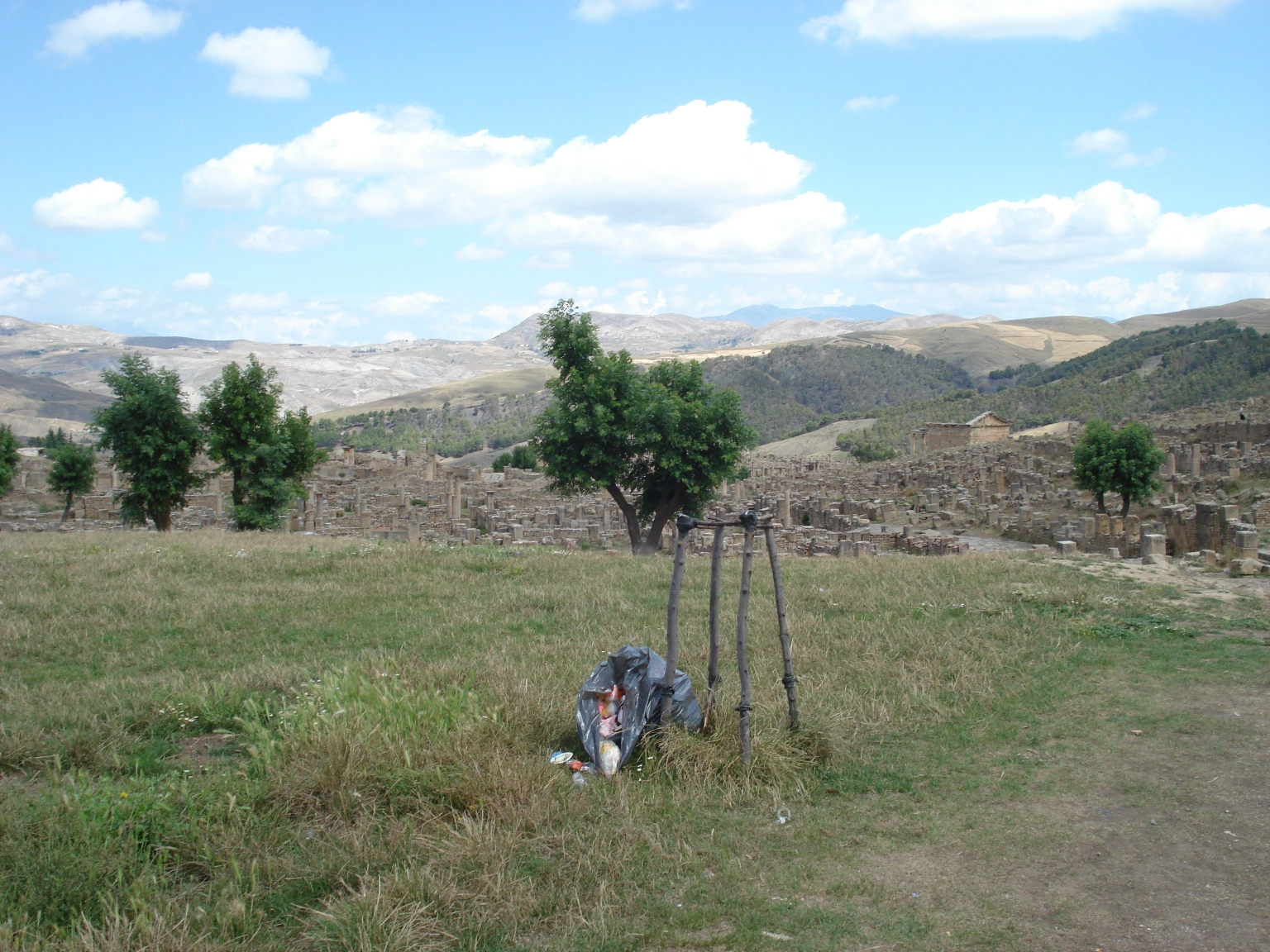Festival et poubelle