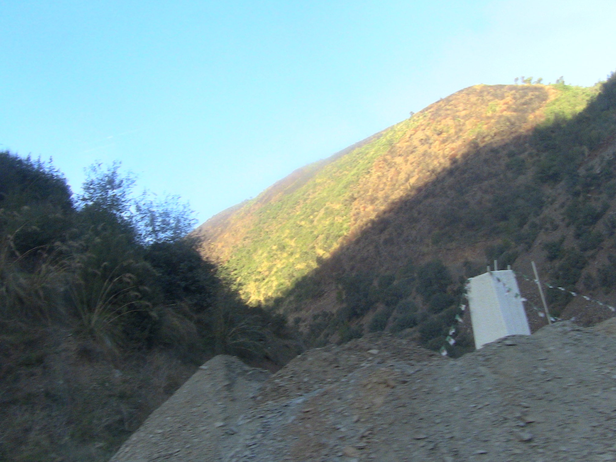 Qui  protège le parc national de chréa?