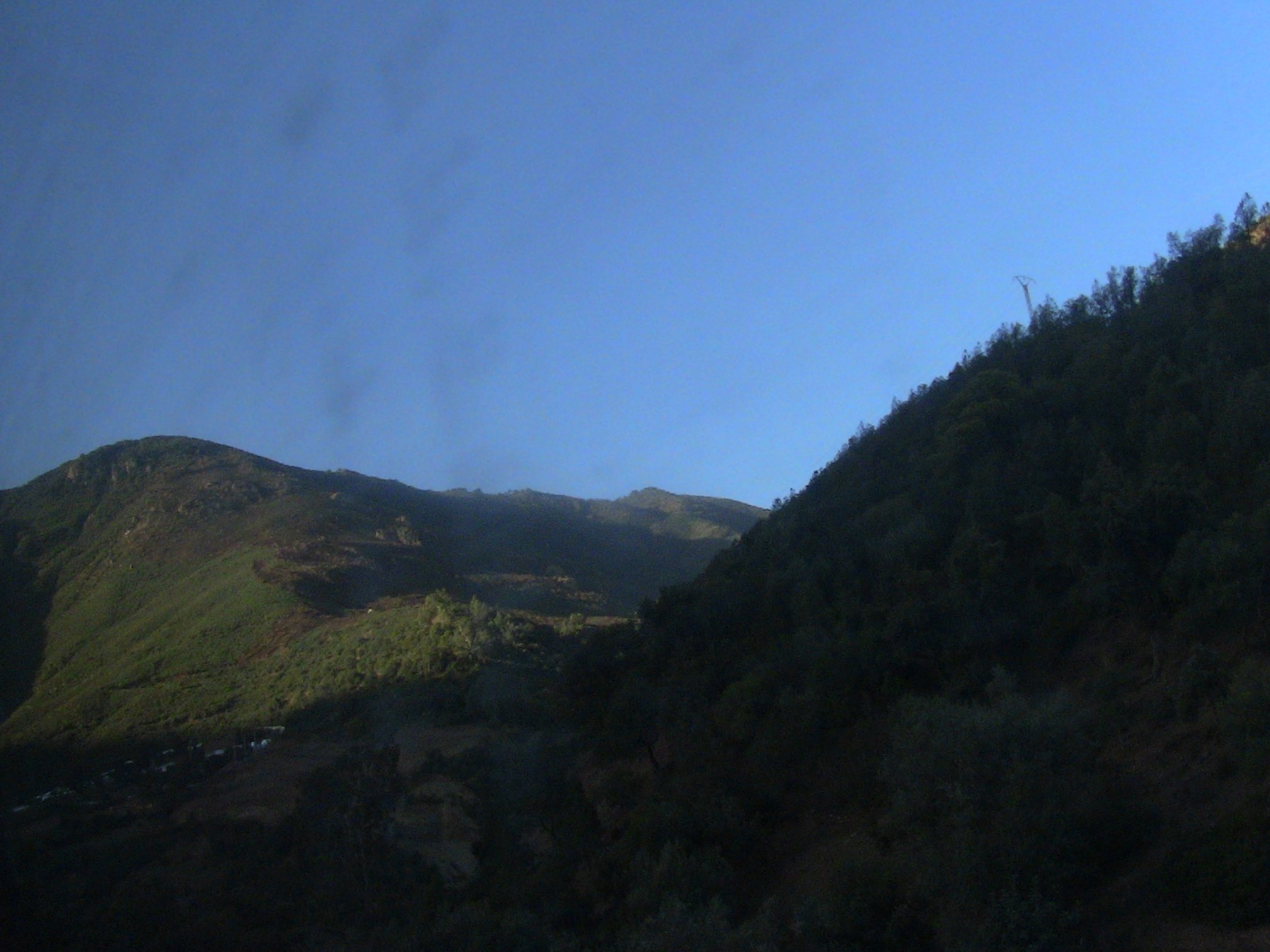 Qui  protège le parc national de chréa?