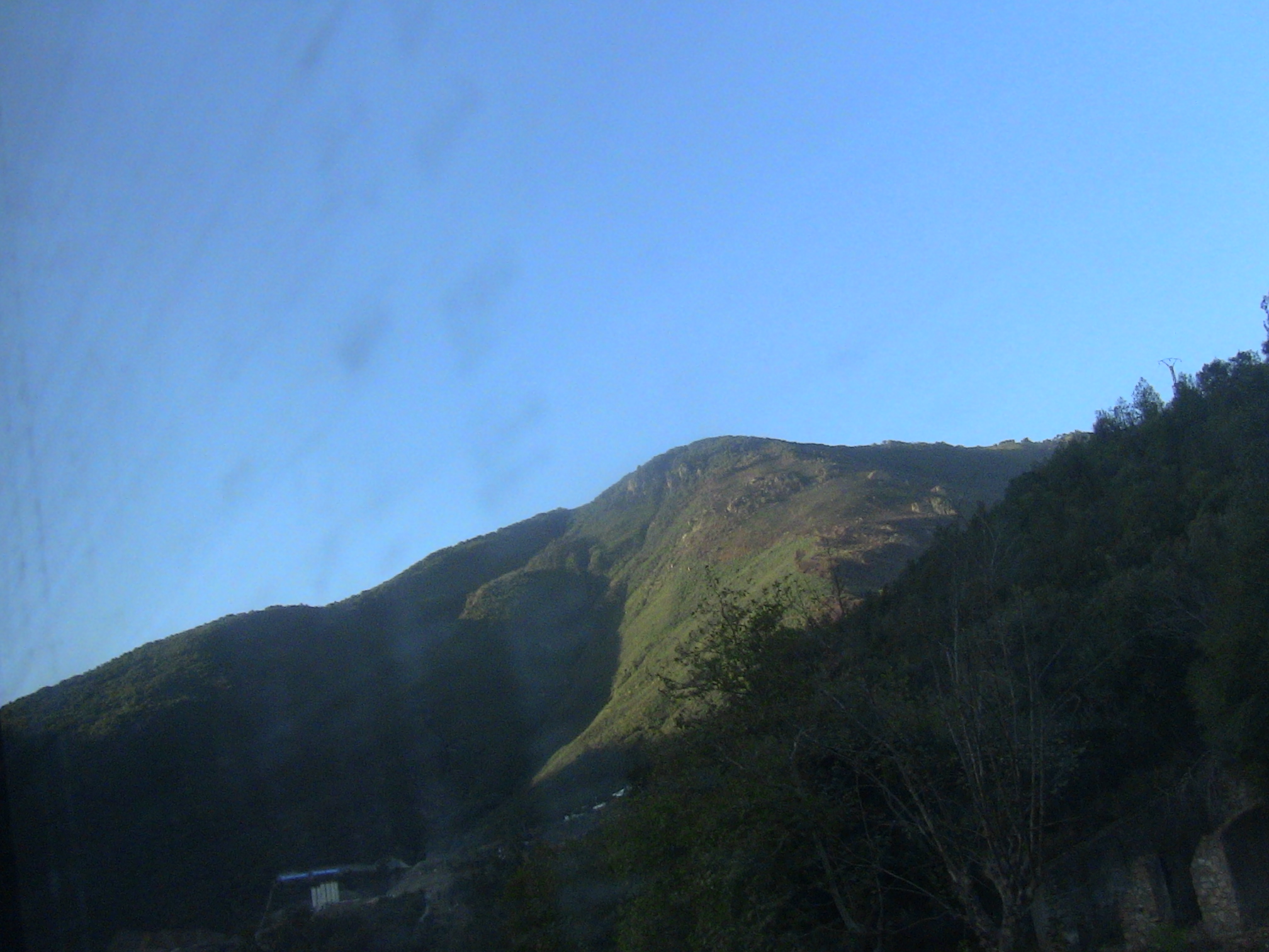 Qui  protège le parc national de chréa?