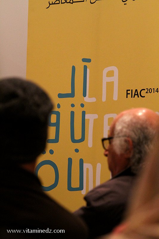 FIAC 2014  Conférences et débatsà la Cinémathèque d'Alger avec Yves Alain MICHAUD et Olivier BERGERON