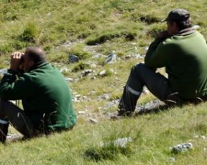 Ils ont tenu un sit-in avant-hier à Bouira Les forestiers dénoncent «la mafia du foncier»