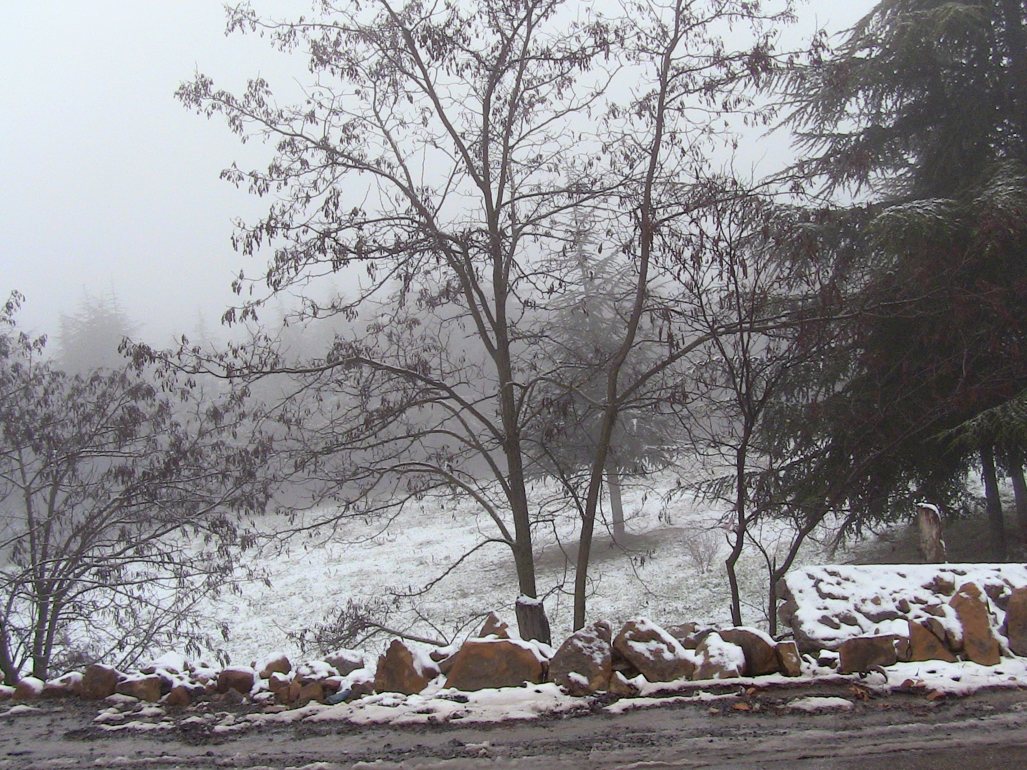 Premières chutes de neige sur le Col de Ben chicao (Hier le 07.12.14)