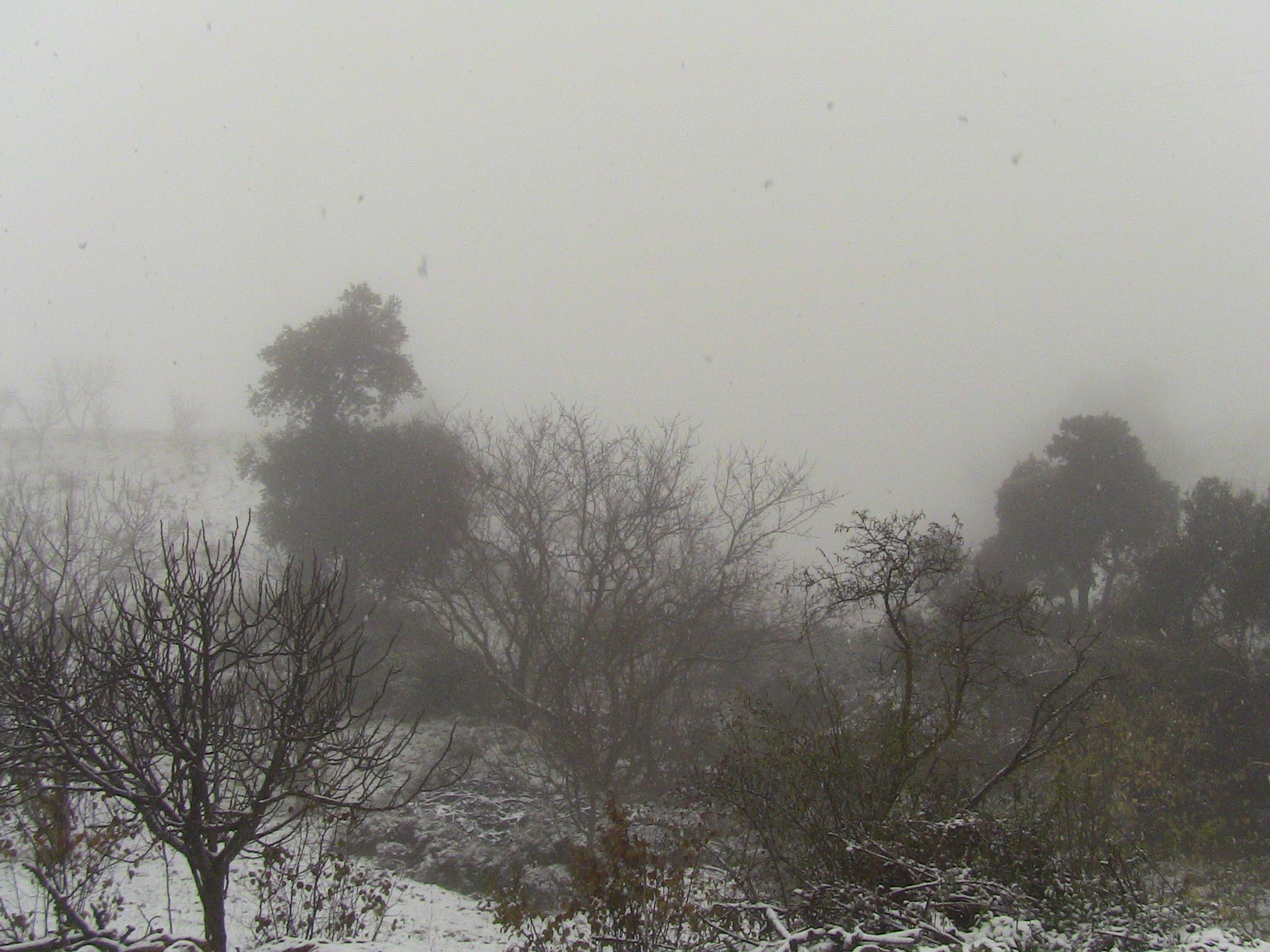Premières chutes de neige sur le Col de Benchicao (Hier le 07.12.14