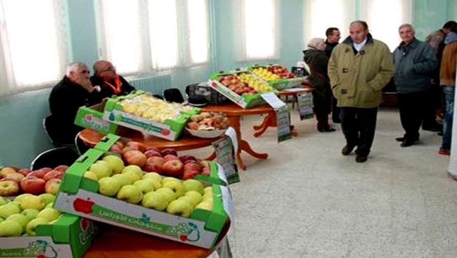 La pomme en fête dans la commune d’Oued Taga (Batna)