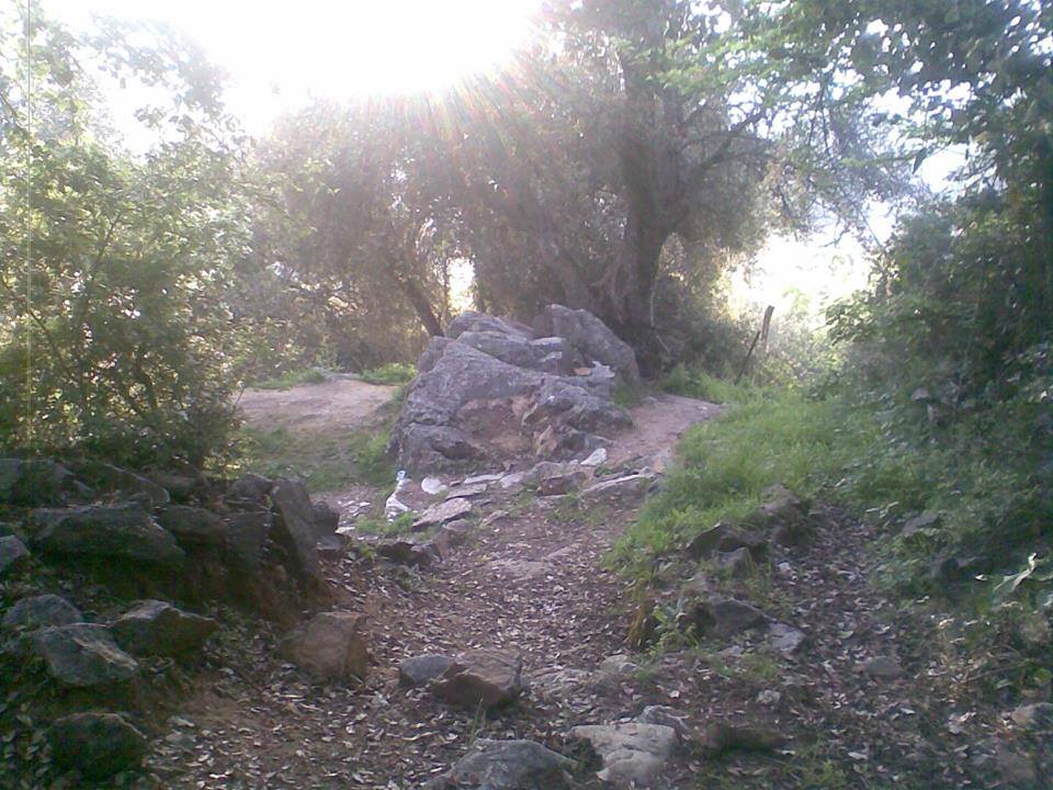 A3essass N Thala - Le protecteur de la source