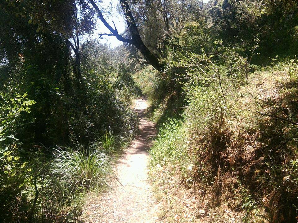 Sentier de randonnée