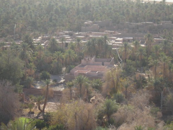 Le vieux ksar de Beni Abbes - Vue plongeante