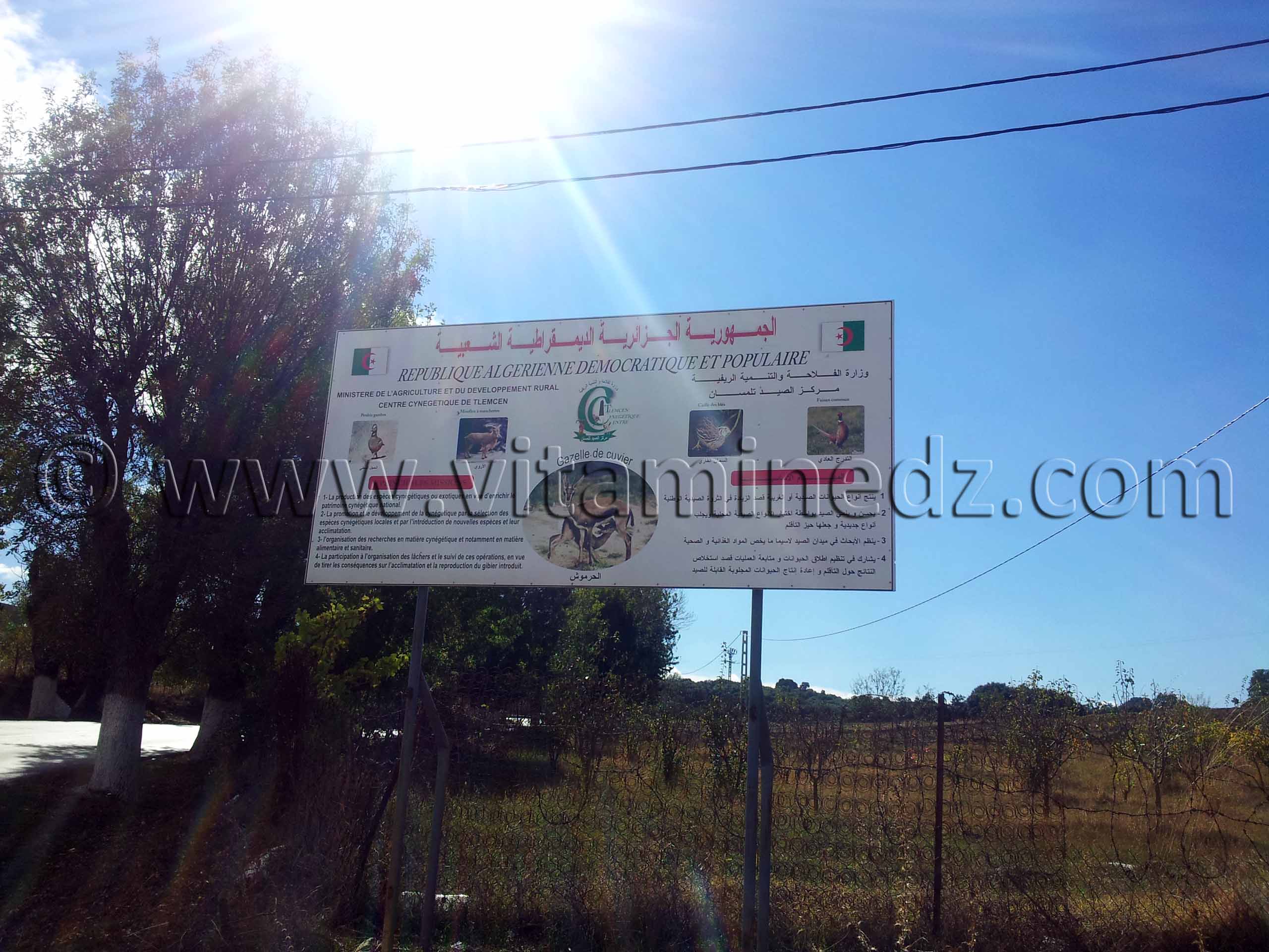Centre Cynégétique de Tlemcen