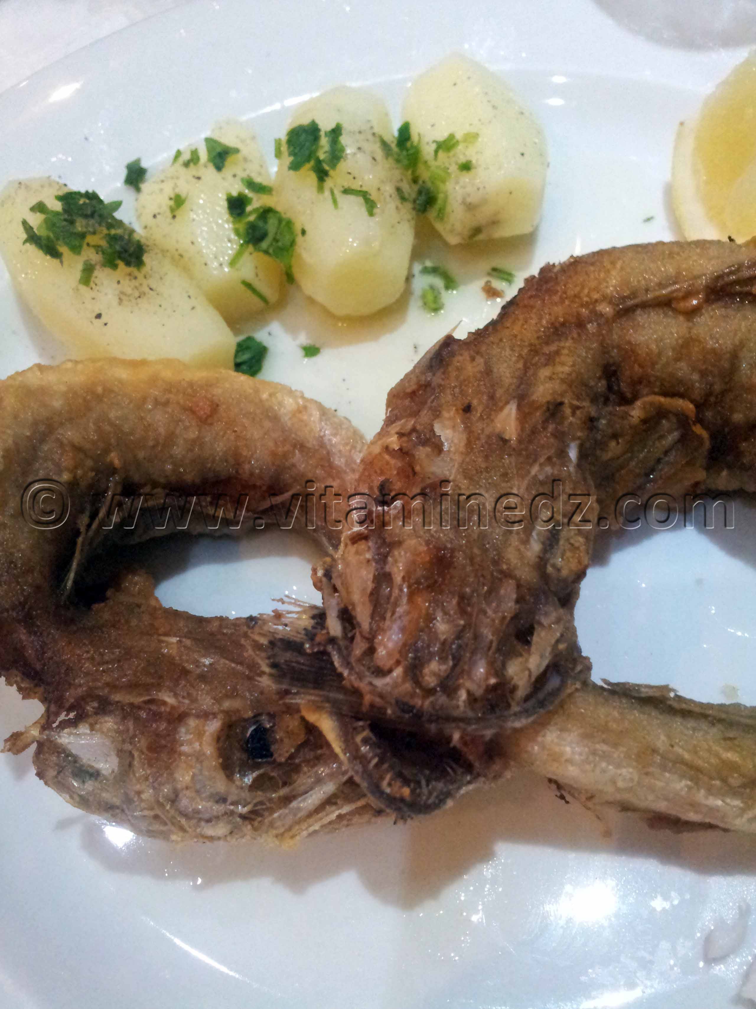 Restaurant Alger, Hôtel Albert 1er, Avenue Pasteur.