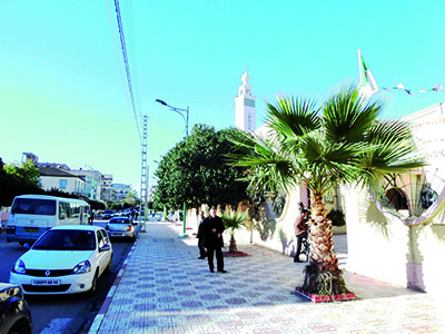 Sidi Mezghiche  -   Le secret de la commune la plus propre de Skikda