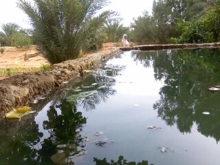 agriculture de sebseb