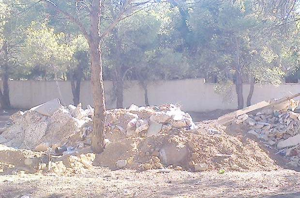 Seul lieu de détente et espace vert de la ville:  Une forêt urbaine en péril à Oum El-Bouaghi