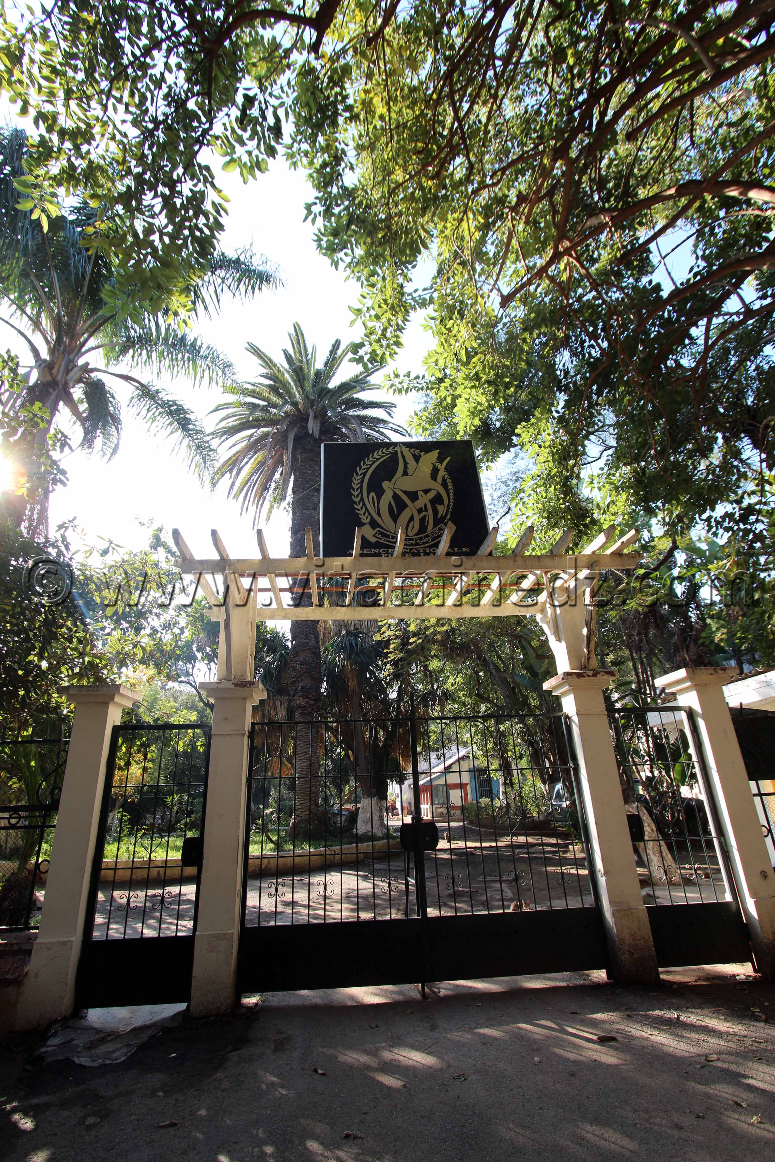 Agence nationale pour la conservation de la nature au Jardin d'Essai d'Alger
